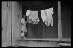 0019_Sharecropper's daughter