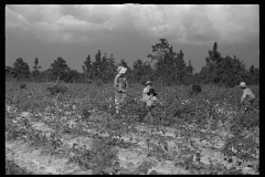 0027__Cotton sharecropper and Children