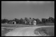 0038_Tupleno Homesteads, Mississippi