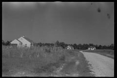 0039_Tupleno Homesteads, Mississippi