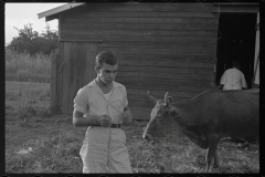 0051_Resettlement farmer with cow, Plaquemines Parish