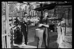 0054_Son of  Resettlement client, Tangipahoa parish Louisiana