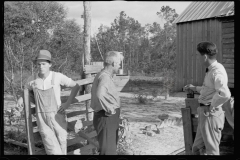 0072_Resettled farmer