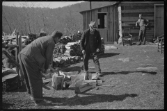 0125_Chopping wood for the schoolteacher, Shenandoah