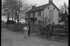 0140_Women passing Mule at Nethers , Virginia