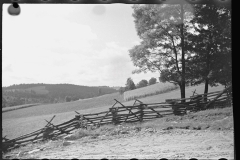 0216_Farmland,  Garrett County, Maryland