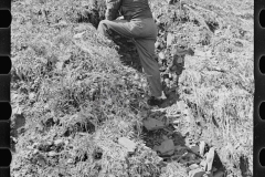 0221_ Man on Hillside farm land   Garrett County, Maryland