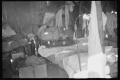 0228_Probably interior squatter's camp, Arkansas