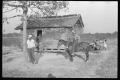 0254_Strawberry pickers, Hammond, Louisiana