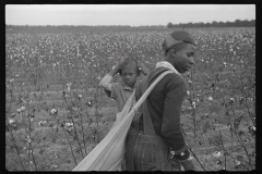 0260_Young  African -American cotton picker, Pulaski County, Arkansas