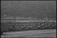 0261_Railroad yard , Williamson, West Virginia