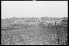 0265_African -American houses,  Winston-Salem, North Carolina