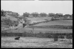 0269_African -American houses,  Winston-Salem, North Carolina