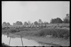 0273_Levee workers, Plaquemines Parish, Louisiana