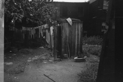 0305_Backyard privy, Washington, D.C., near Government  Office.