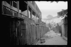 0320_Alley inhabited by African-American families ,Washington, D.C.