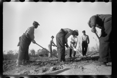 0341_Transient labour clearing land. Prince George's County