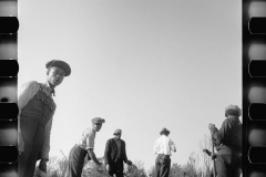 0342_Transient labour clearing land. Prince George's County