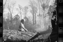 0348_Transient worker clearing land, Prince George's County, Maryland]