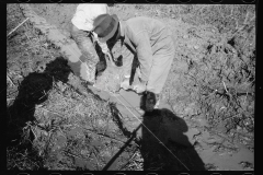 0349_Transient workers clearing land, Prince George's County, Maryland]