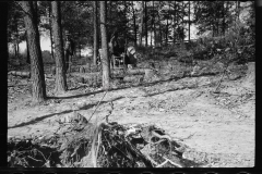 0352_Clearing land with tractor and winch , Prince George's County