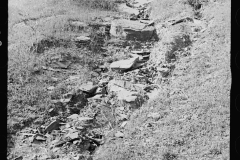 0382_Soil erosion, gullied, hillside  Garrett County, Maryland