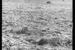 0385_Hillside soil erosion,  Garrett County, Maryland