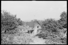 0396_House in considerable disrepair, Garrett County, Maryland