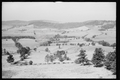 0400_Good farming land, Garrett County, Maryland.