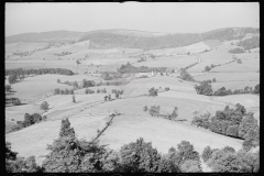 0401_Good farming land, Garrett County, Maryland