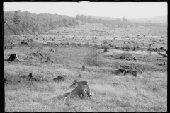 0402_Characteristic topography, Garrett County, Maryland