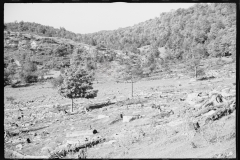 0406_Logging , Garrett County, Maryland