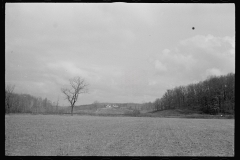 0433_View of resettlement area, Morgan County, Indiana