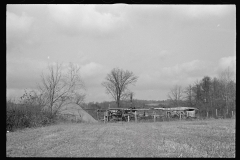 0436_Possible resettlement land ,Brown County . Indiana