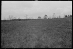 0438_Possible resettlement land ,Brown County . Indiana