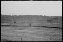 0449_ Abandoned farmland, Brown County, Indiana