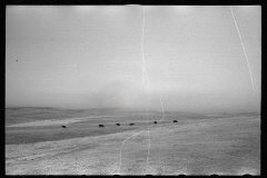 0526_Open countryside , possibly Dawson County