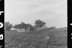 0555_Probably Tygart Valley  Homesteads , West Virginia