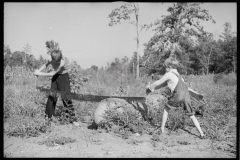 0569_Two young lads with a cross-cut saw , unknown location