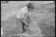 0570_Possibly  related to community canning kitchen , Atkins  , Arkansas