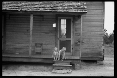 0586_Sharecroppers  children  , possibly Irwin County , Georgia