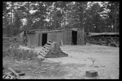 0587_lumber yard , possibly Pike County Mississippi