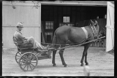 0641_Horse and tub cart , Irwin County, Georgia