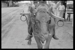 0643_ Buffalo with yoke , probably Georgia