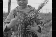 0651_Boy with peanuts , Wolf Creek , Georgia