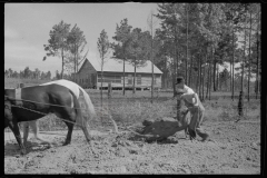 0654_,Resettlement farming ,  Grady County , Georgia