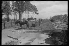 0656_ land improvement ,  Grady County , Georgia