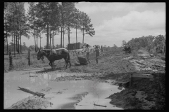 0656_ land improvement ,  Grady County , Georgia