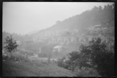 0712_Purslove, West Virginia
