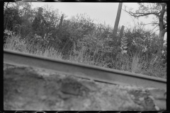 0729_Probably spoiled negative ,  due to film loading , random view of railroad  track